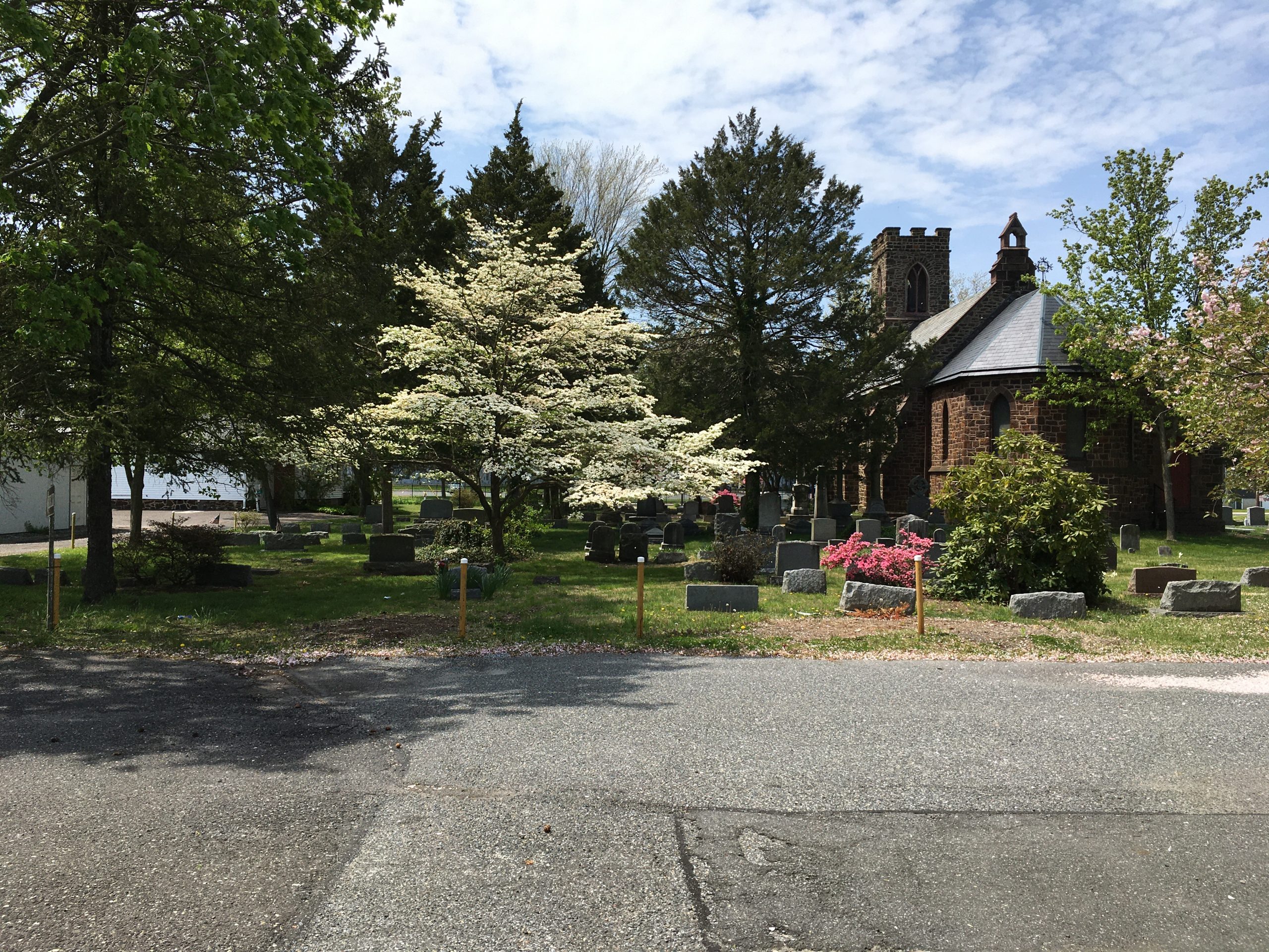 Blossoms202005.JPG
